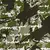 camouflage khaki