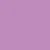 wild aster 