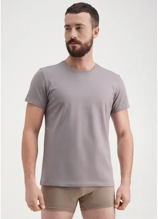 Класична чоловіча футболка Adam 49/409/010 grey (сірий) Класична чоловіча футболка Adam 49/409/010 grey (сірий)