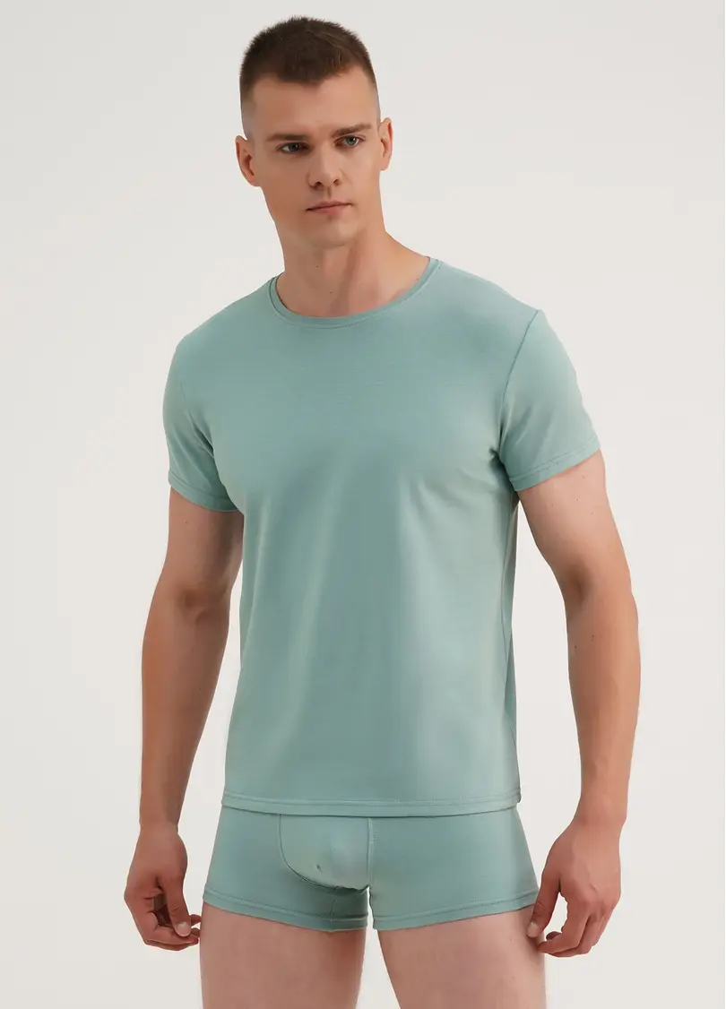 Класична чоловіча футболка Adam 49/409/010 mint (зелений)