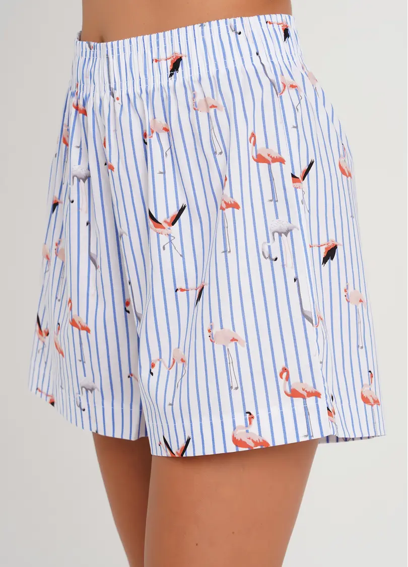 Шорти в смужку з фламінго FLAMINGO 4212/010 blue stripe (блакитний)