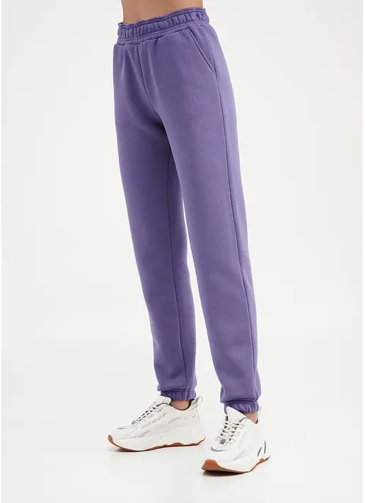 Спортивні штани на флісі SPORT STYLE 4312/170 plum (фіолетовий)