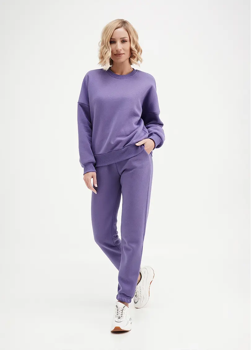 Спортивні штани на флісі SPORT STYLE 4312/170 plum (фіолетовий)