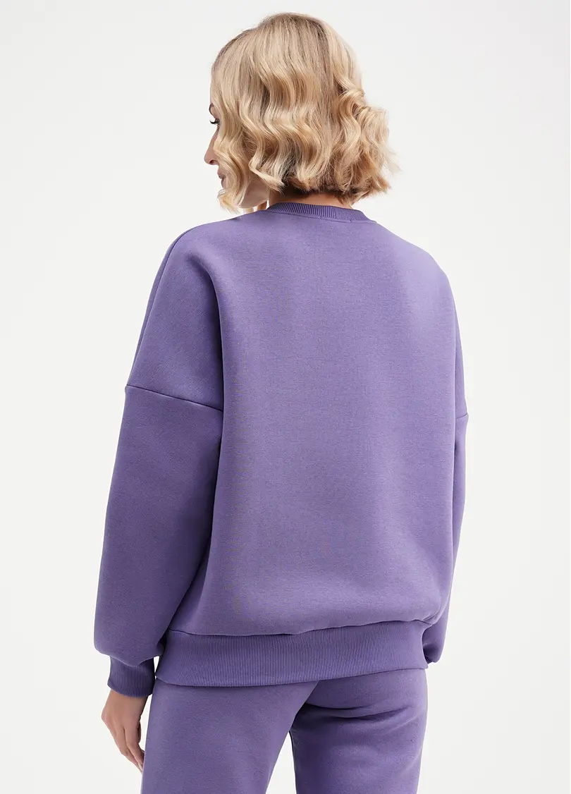 Світшот на флісі SPORT STYLE 4413/170 plum (фіолетовий)