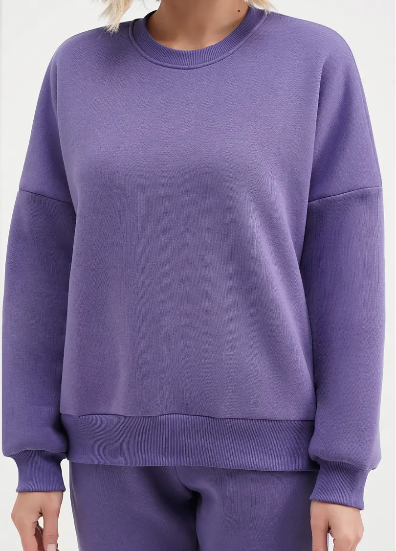 Світшот на флісі SPORT STYLE 4413/170 plum (фіолетовий)