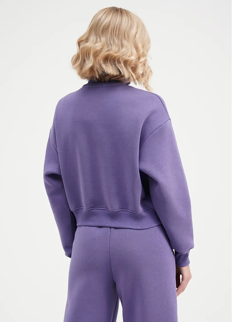 Світшот на блискавці SPORT STYLE 4416/170 plum (фіолетовий)