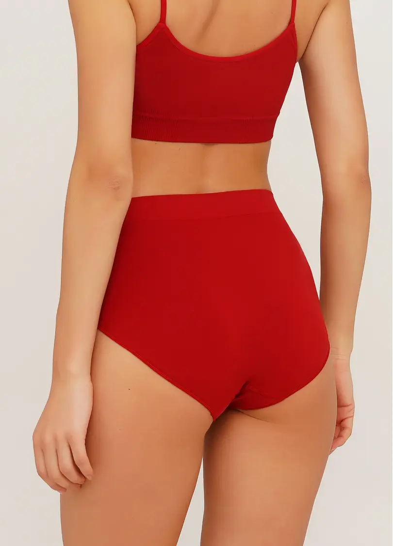 Безшовні трусики бріфи високі MIDI BRIEFS COLOR winery (червоний)