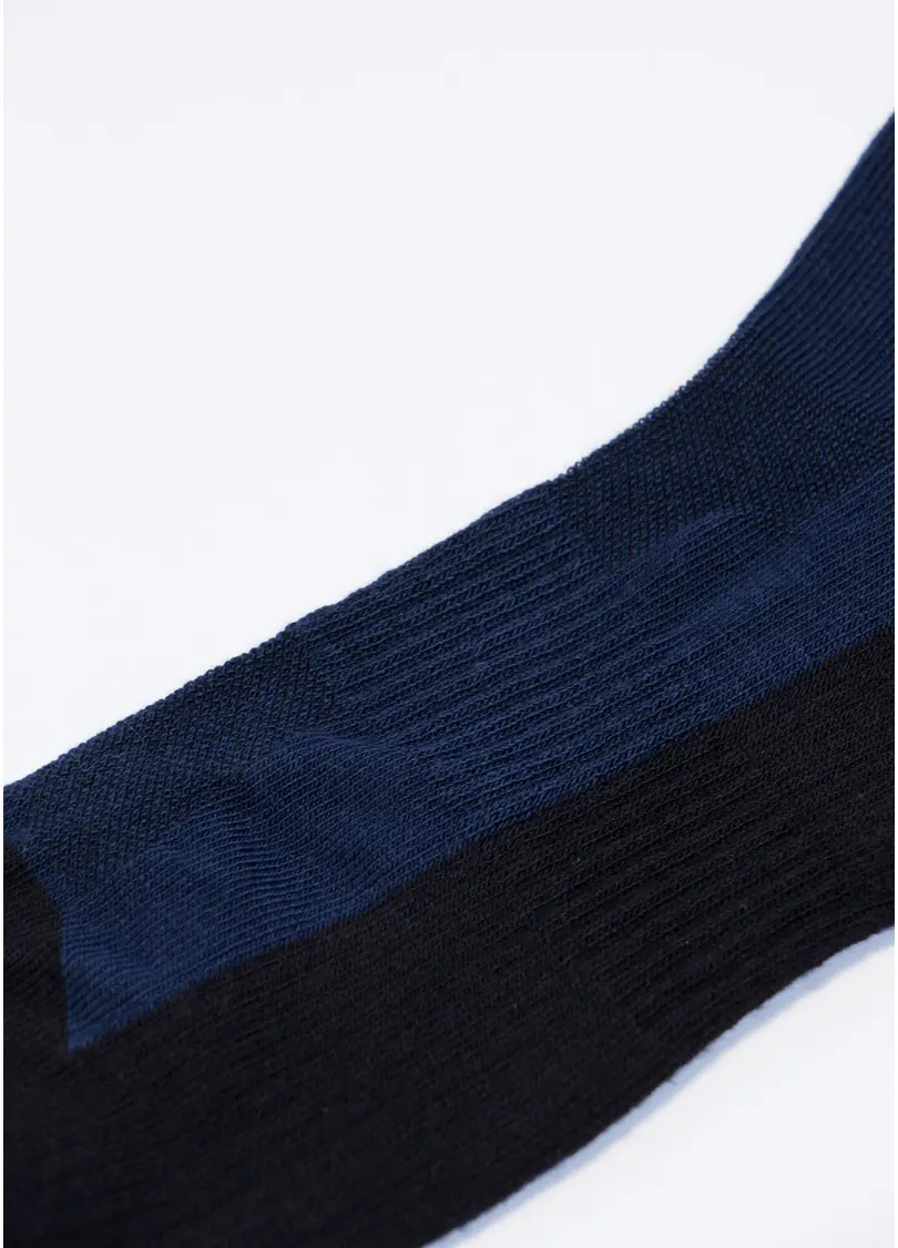 Шкарпетки для чоловіків MS1 TERRY SPORT 010 [MS1C / SpTe-010] navy/black (синій)