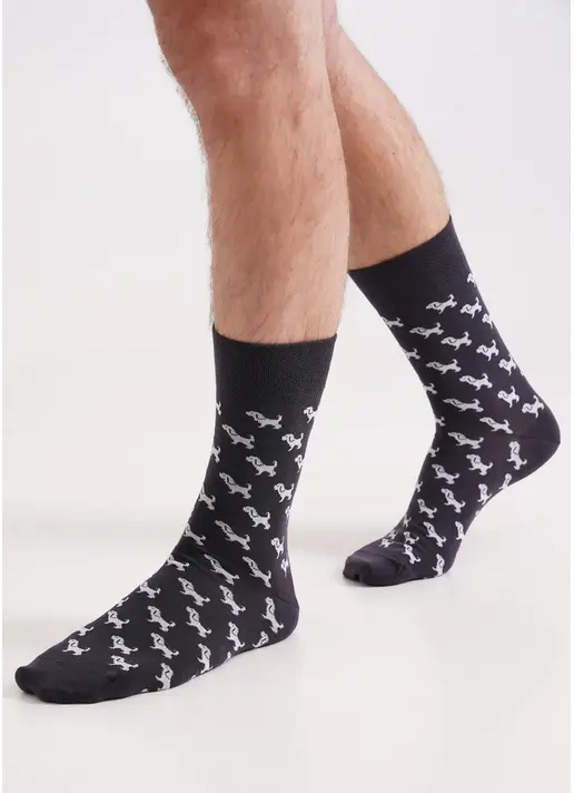 Чоловічі шкарпетки з собаками MS3 SOFT FASHION ASSORTED