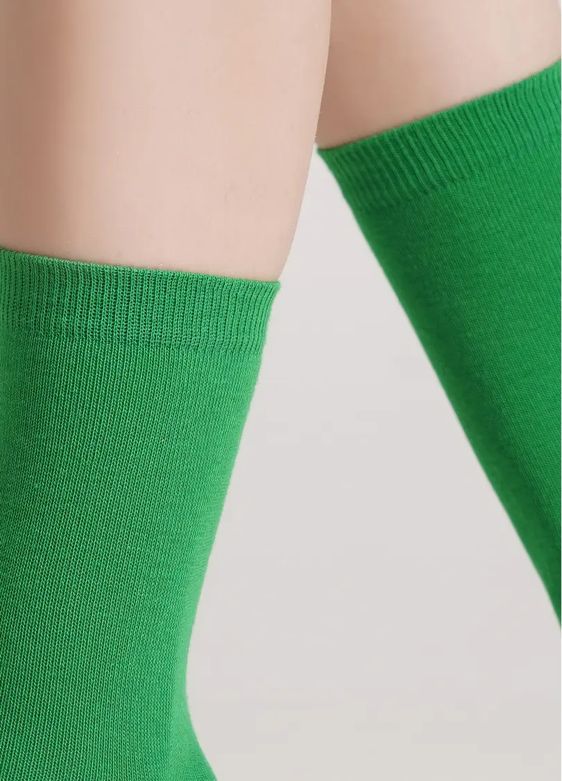 Шкарпетки з бавовни базові WS3 CLASSIC [WS3C-cl] green (зелений)