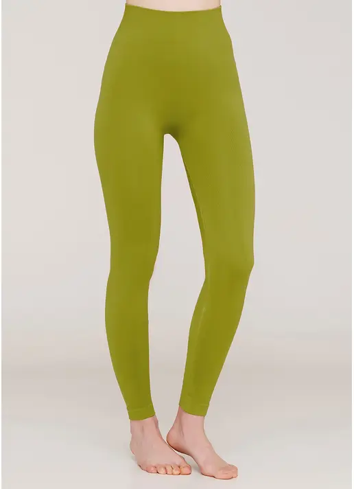 Безшовні легінси з мікрофібри LEGGINGS 02 fragile sprout (зелений)